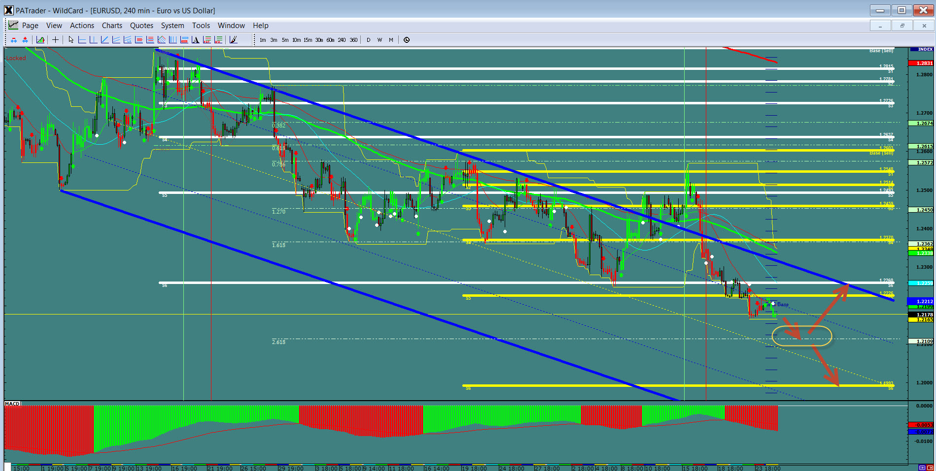 Forex market this week